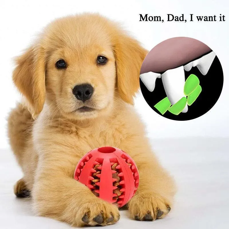 Dog Chewing Rubber Ball