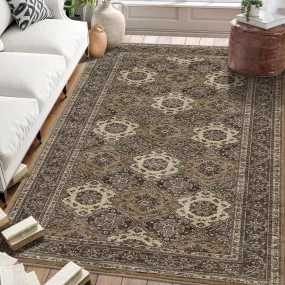 GARVEE Area Rug 4x6 Traditional Medallion Area Rug Brown Bohemian Vintage Indoor Area Rug Durable Floor Cover Non-Slip Stain-Resistant for Farmhouse Livingroom Dining Room Bedroom 4x6