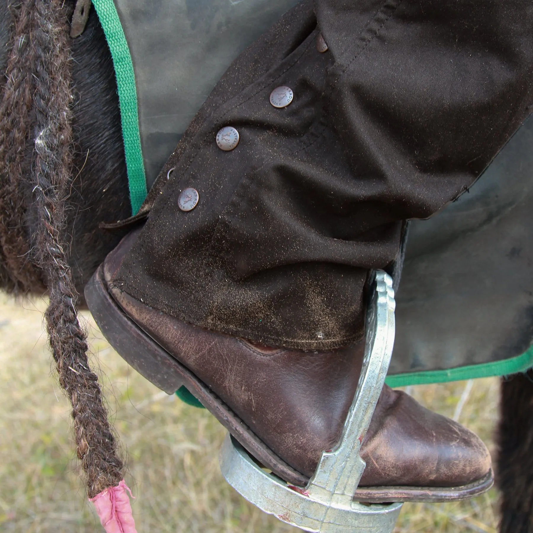 Ventilator Chaps